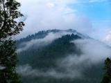 Manufacturers Exporters and Wholesale Suppliers of Kashmir Tours Dhaka Kashmir Tours